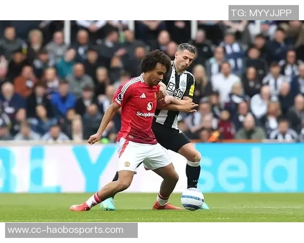 罗马计划引援至少两名前锋齐尔克泽与拉斯帕多里在目标名单内